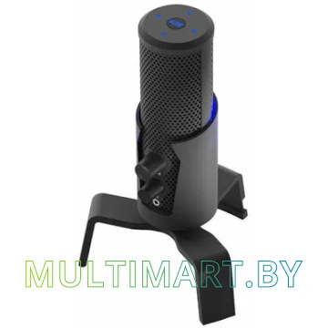 Микрофон Ritmix RDM-290 USB Eloquence картинка 6
